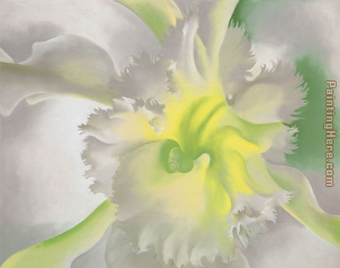 An Orchid 1941 painting - Georgia O'Keeffe An Orchid 1941 art painting
